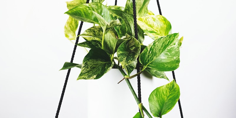 西班牙队传控训练与球员技术分析特写